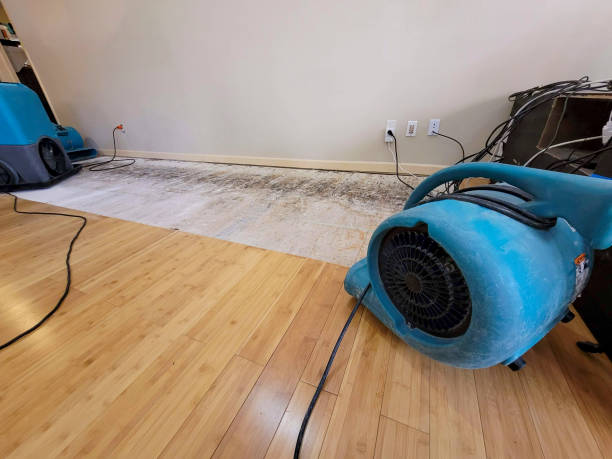 Professional Burst Pipe Water Damage technician working in Lydia, SC